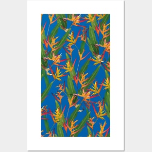 strelitzia Posters and Art